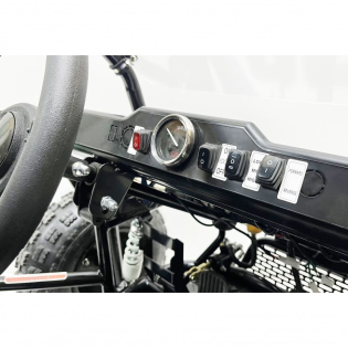 Багги GreenCamel Намиб T10 (60V 2000W R8 Дифф)