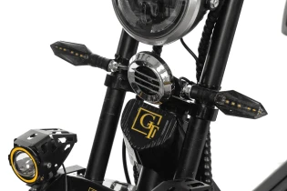 Трехколесный электроскутер Citycoco Trike GT-X11