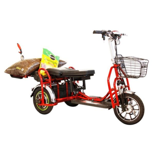 Электротрицикл Elbike Адъютант Double Twix А4