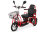 Электротрицикл Transporter PRO Li-Ion красный