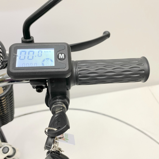 Электровелосипед GreenCamel Транк 18 V8 (R18 500W 60v20Ah)