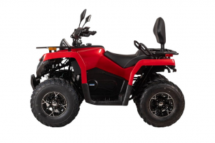 Электроквадроцикл Bizon YK250EL LUX