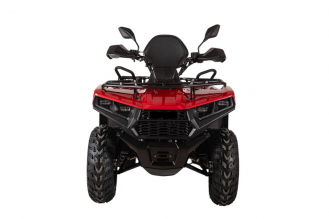 Электроквадроцикл Bizon YK250EL LUX