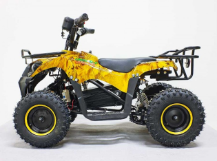 Квадроцикл GreenCamel Гоби K45 (36V 800W R6 Цепь)
