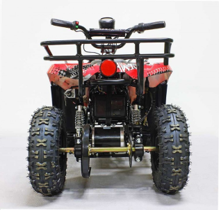 Квадроцикл GreenCamel Гоби K45 (36V 800W R6 Цепь)