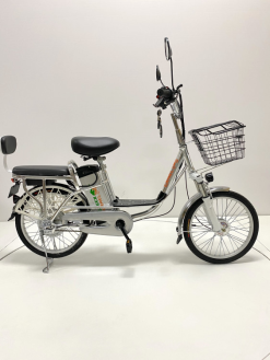 Электровелосипед GreenCamel Транк 20 V8 литой (R20 500W 60V10Ah)