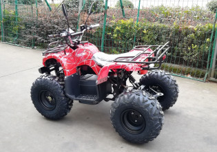 Квадроцикл GreenCamel Атакама T320 (48V 1000W R8) красный паук