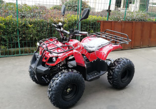 Квадроцикл GreenCamel Атакама T320 (48V 1000W R8) красный паук