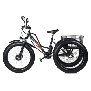 Трехколесный электровелосипед трицикл Jetson F26 BIZON (48V12Ah)