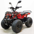 Квадроцикл GreenCamel Атакама T120 (48V 800W R8 Цепь)