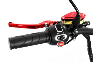 Электроскутер Citycoco GT E30