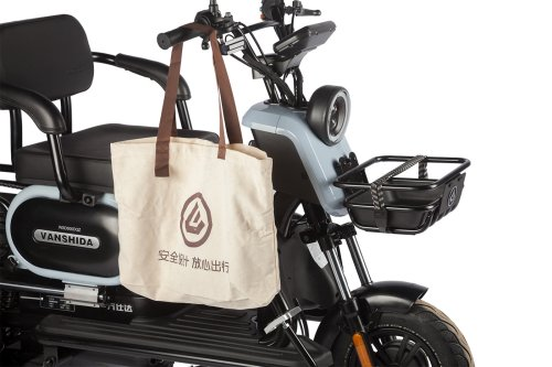 Электротрицикл Wanshida UN MOTO 60V 650Вт