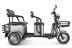 Электротрицикл Rutrike Экипаж, серый