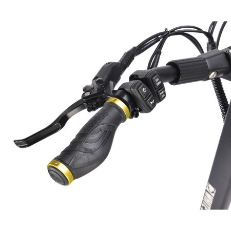 Электросамокат WHITE SIBERIA NERPA PRO 3600W Siberian Gold (золотой)